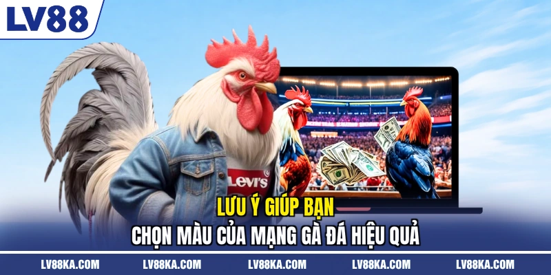 Lưu ý giúp bạn chọn màu của mạng gà đá hiệu quả