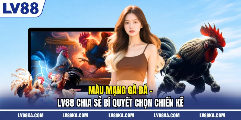 Màu Mạng Gà Đá - LV88 Chia Sẻ Bí Quyết Chọn Chiến Kê