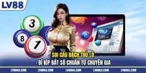 Soi Cầu Bạch Thủ Lô - Bí Kíp Bắt Số Chuẩn Từ Chuyên Gia